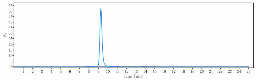 WB - Anti-HGFR / c-Met Reference Antibody (telisotuzumab vedotin) APR10106